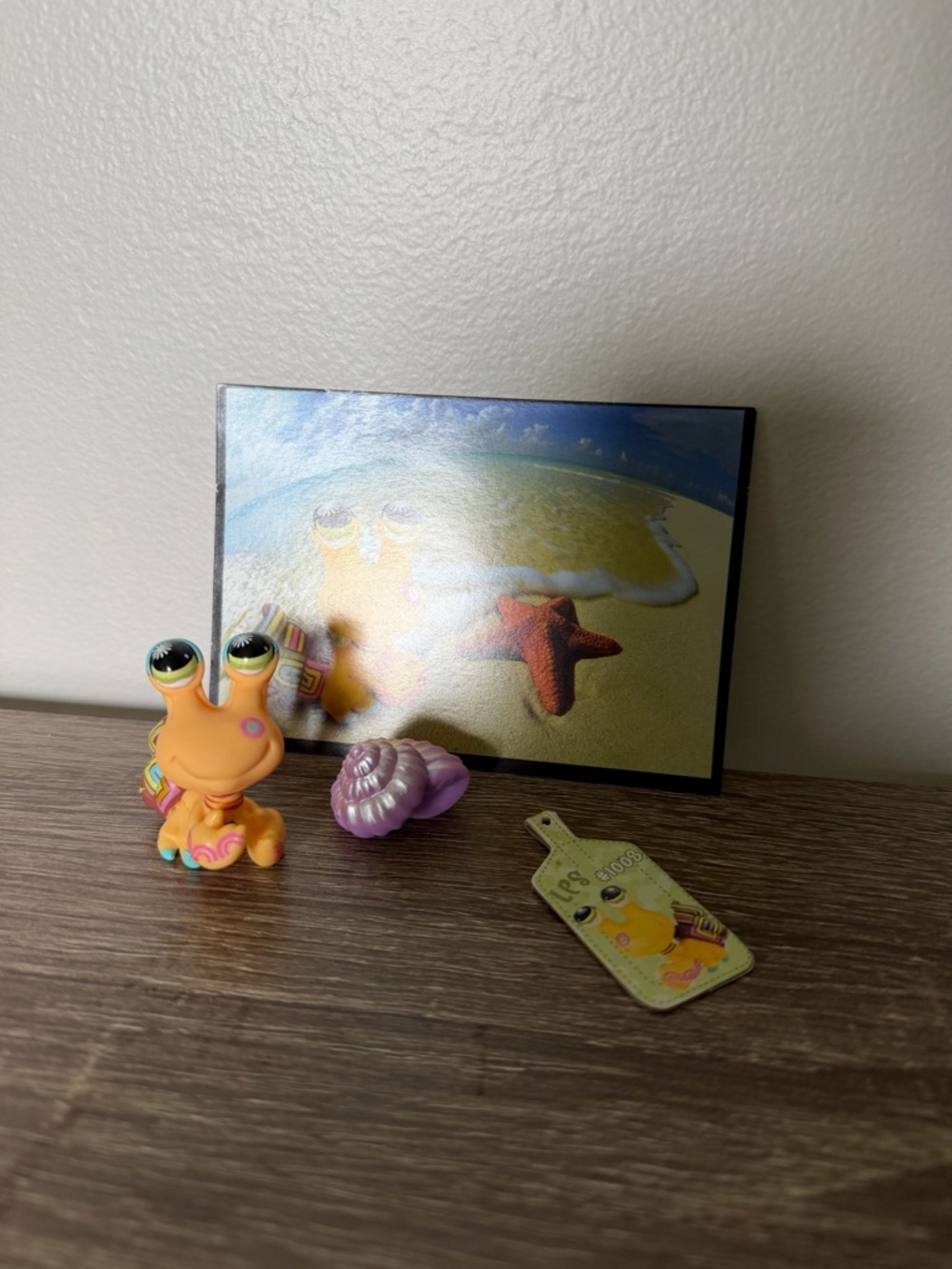 Littlest pet shop #1008 hermit crab